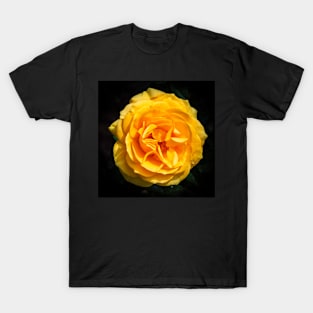 The Yellow Rose T-Shirt